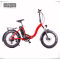 Bicicleta eléctrica de alto poder 48V1000W 20inch bicicleta eléctrica gorda, ebike